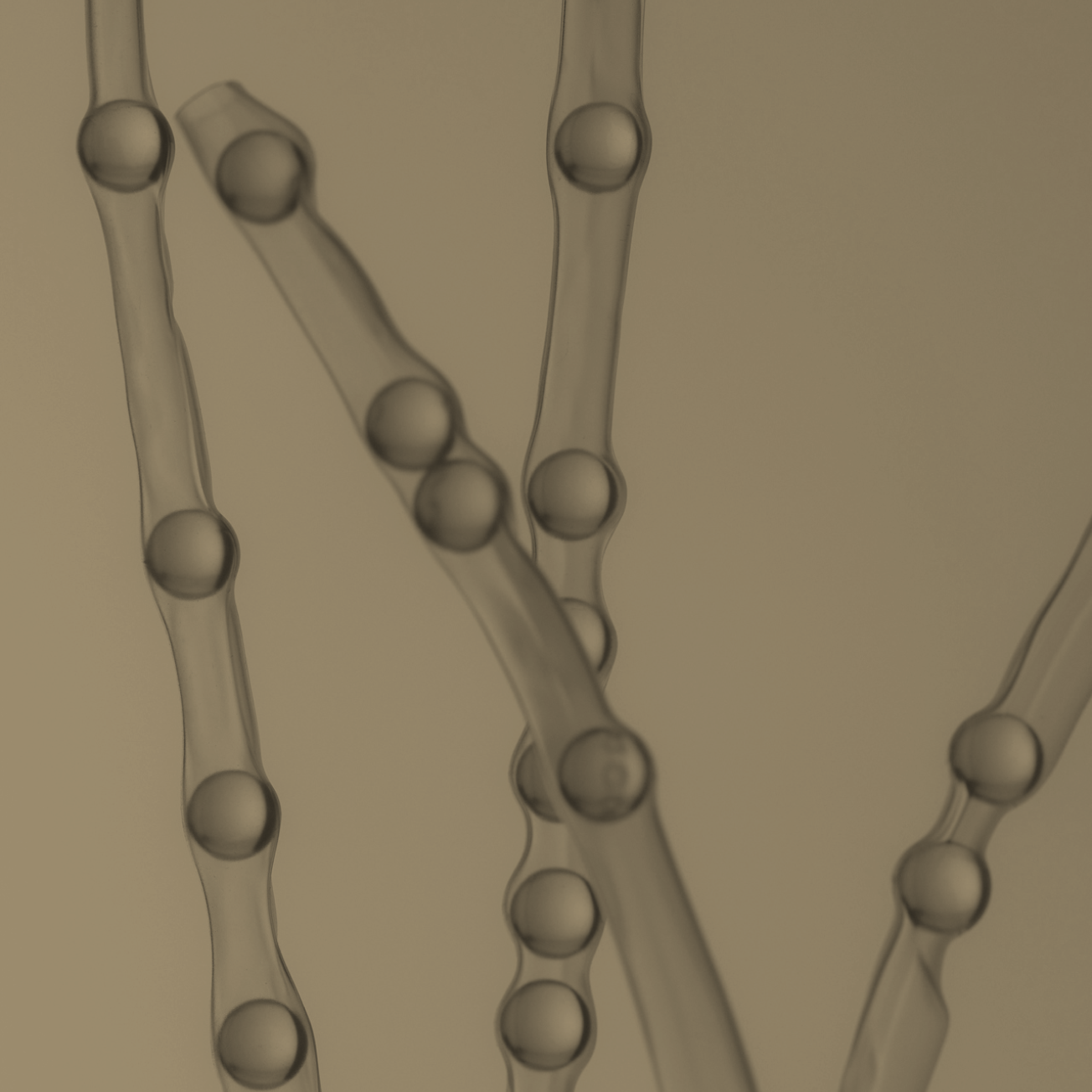 We’ve assembled an industry-leading team of doctors, scientists, and researchers dedicated to relentless innovation